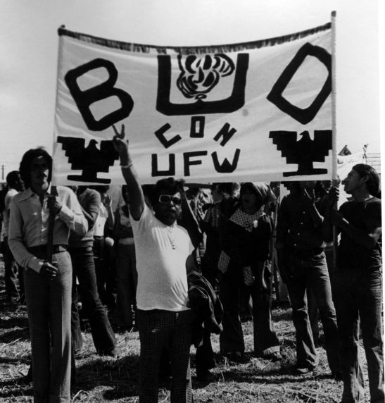 (3627) Demonstration, banners (3627) Demonstration, banners